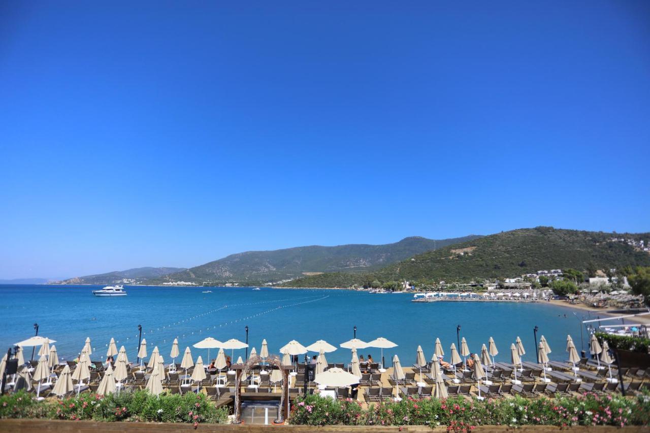 Trendlife Hotels Torba 博德鲁姆 外观 照片